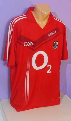 Cork 2010 gaa - cork, 2010/12