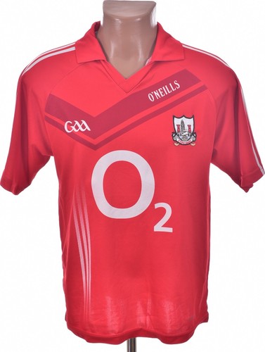 Cork gaa 2010 - cork, 2010/2011